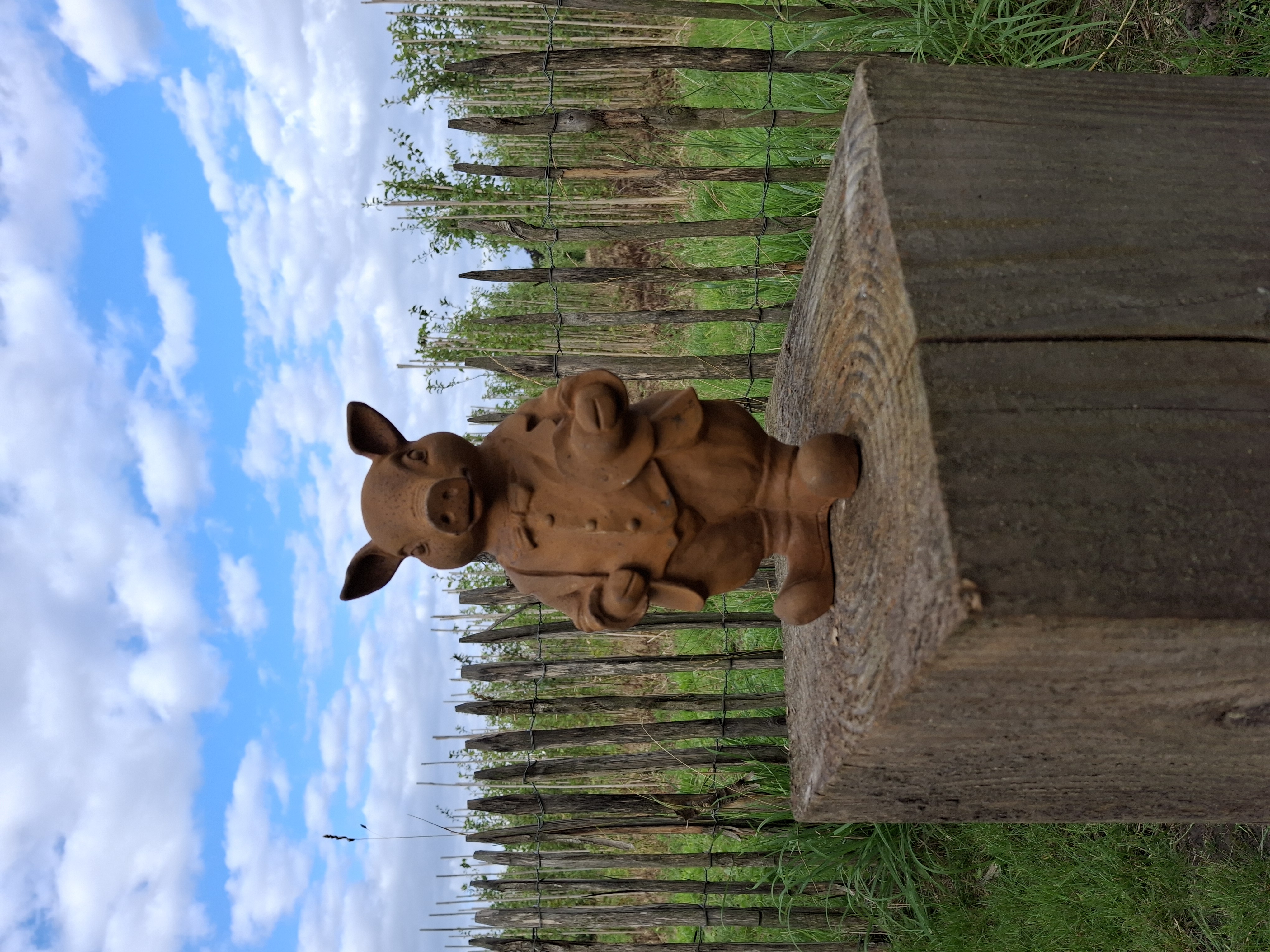 Tuinbeeld  varken  met hoed -M-