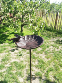 Tuinsteker vogeldrinkbakje model schelp