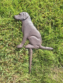 Tuinsteker hondje