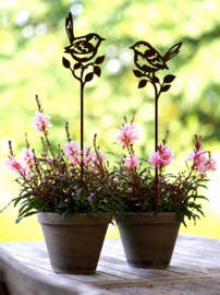 Plantensteker/tuinsteker Piepmatz medium -A-