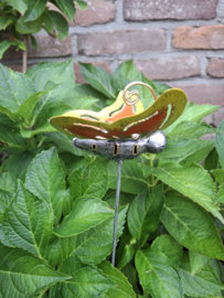 Medusa tuinsteker vlinder S -3-