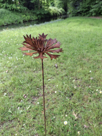 Tuinsteker korenbloem 3D
