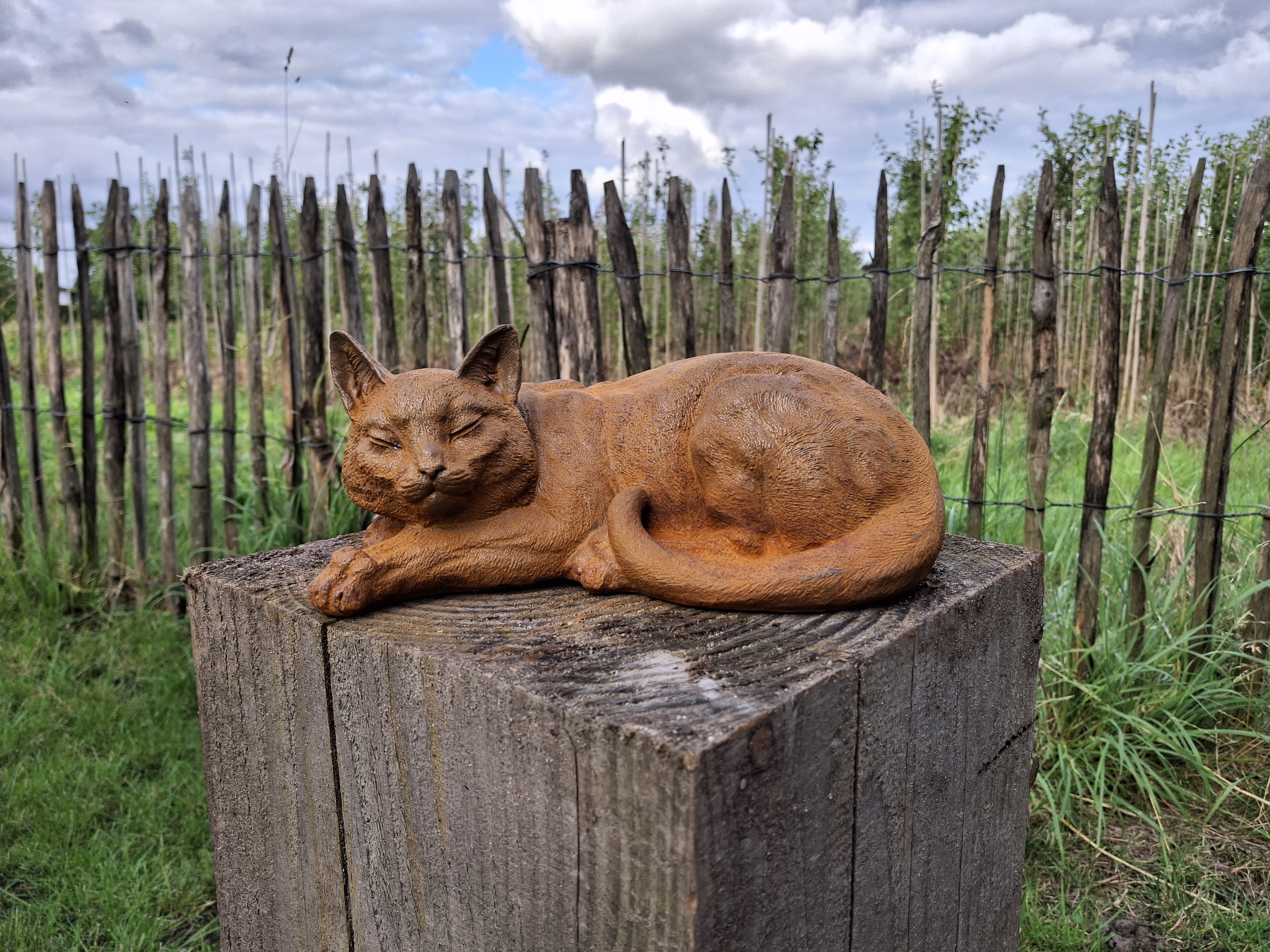 Tuinbeeld slapende kat