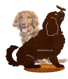 Cocker spaniel met 3D vlinder op neus