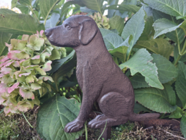 Tuinsteker hondje