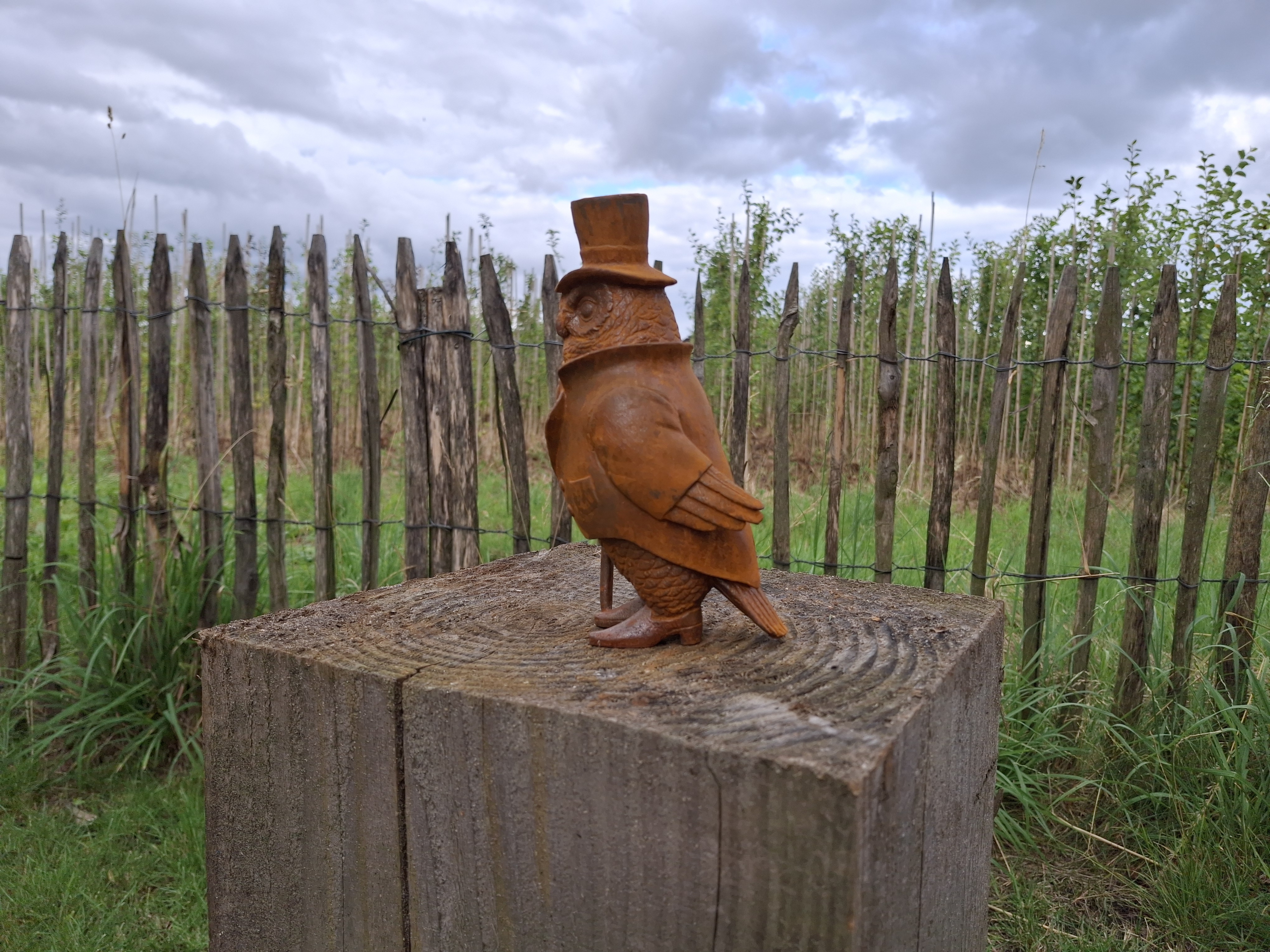Tuinbeeldje wijze uil gietijzer