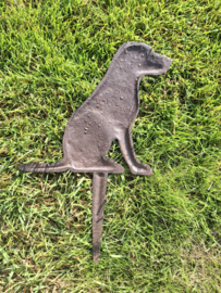 Tuinsteker hondje
