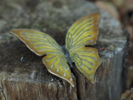 Bronzen gele vlinder