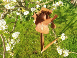Tuinsteker Iris met gouden accenten -M-