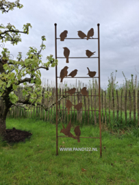 Plantenklimrek met vogeltjes breed