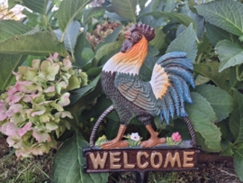 Tuinsteker haan welcome