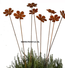 Bloem met goudpunt -S-