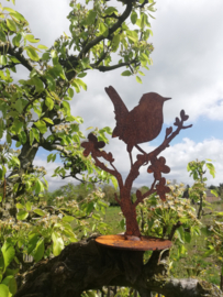 Vogel op bloesemtakje -s-