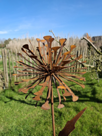 Tuinsteker paardenbloem 3D