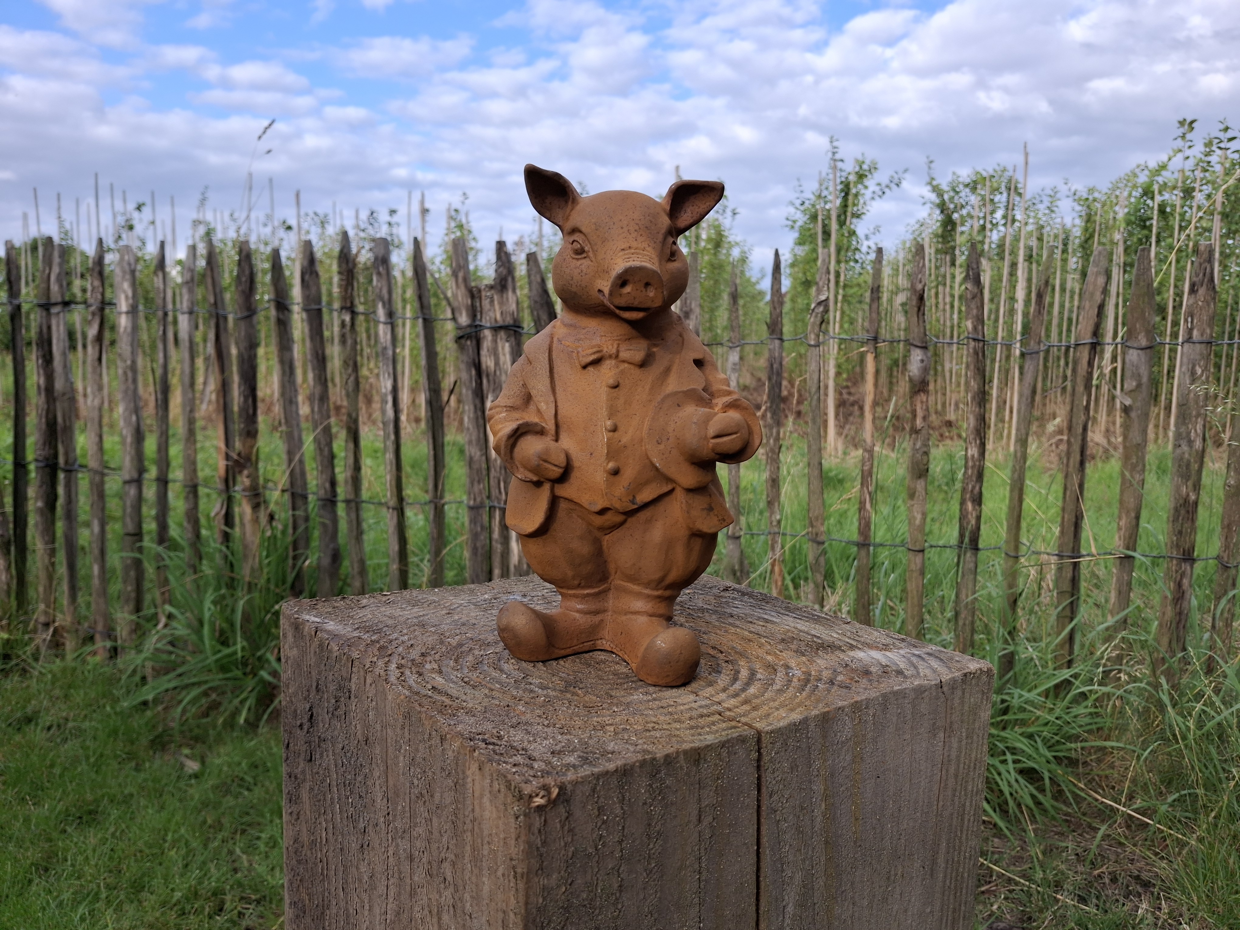 Tuinbeeld  varken  met hoed -M-