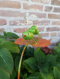 Tuinsteker rups groen op blad