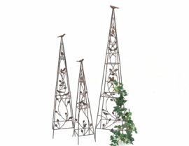 Plantenklimrek piramidevorm set van 3