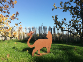 Poes lopend met vlinder op staart