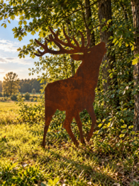 Hert burlend met dubbel gewei 3D