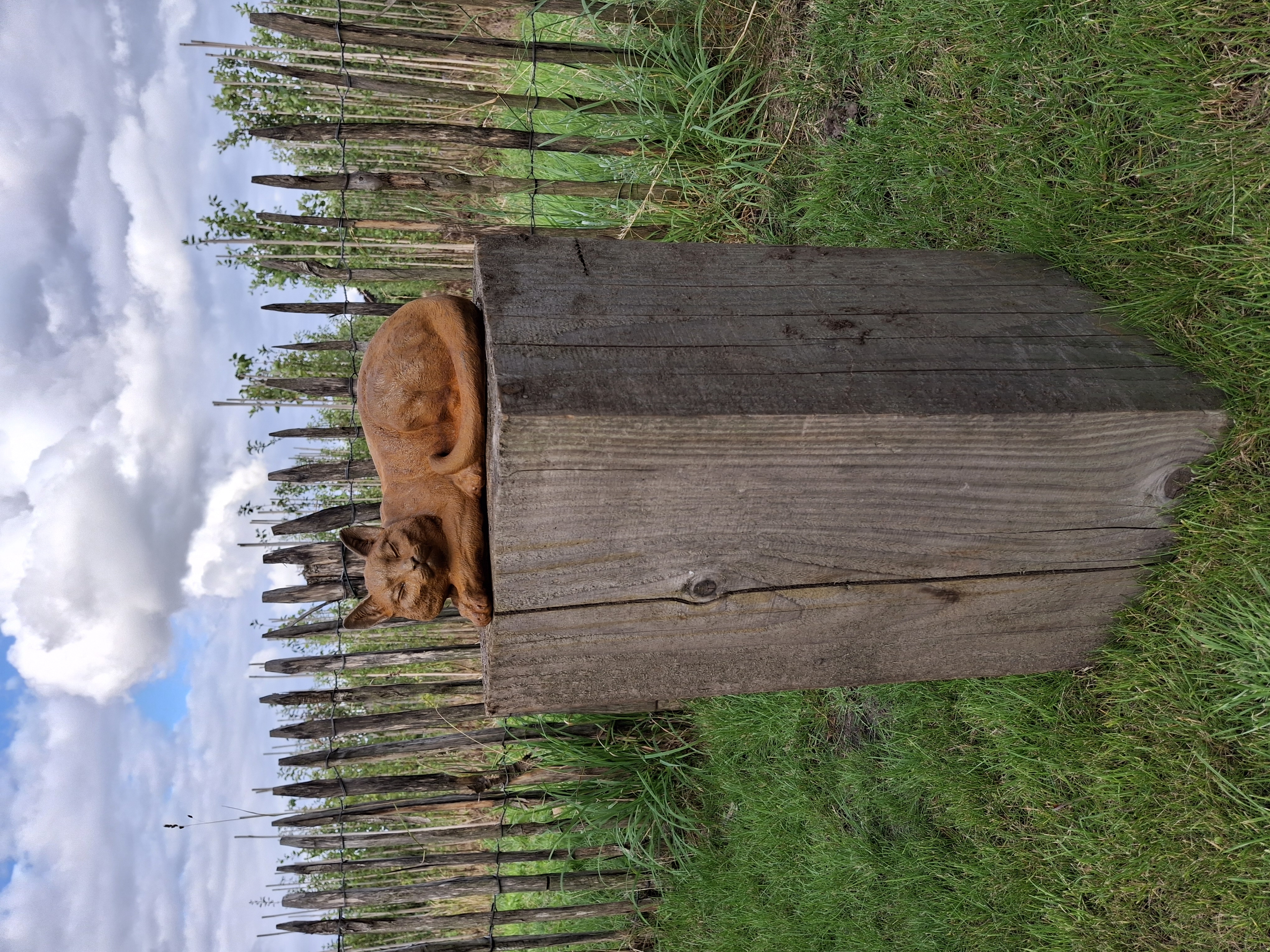 Tuinbeeld slapende kat