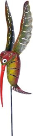 Medusa tuinsteker kolibrie -4-