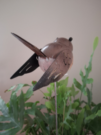 Tuinsteker/plantensteker vogel