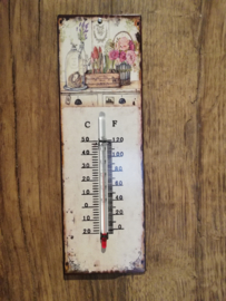 Thermometer met kistje hyacinten