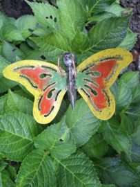 Medusa tuinsteker vlinder S -3-