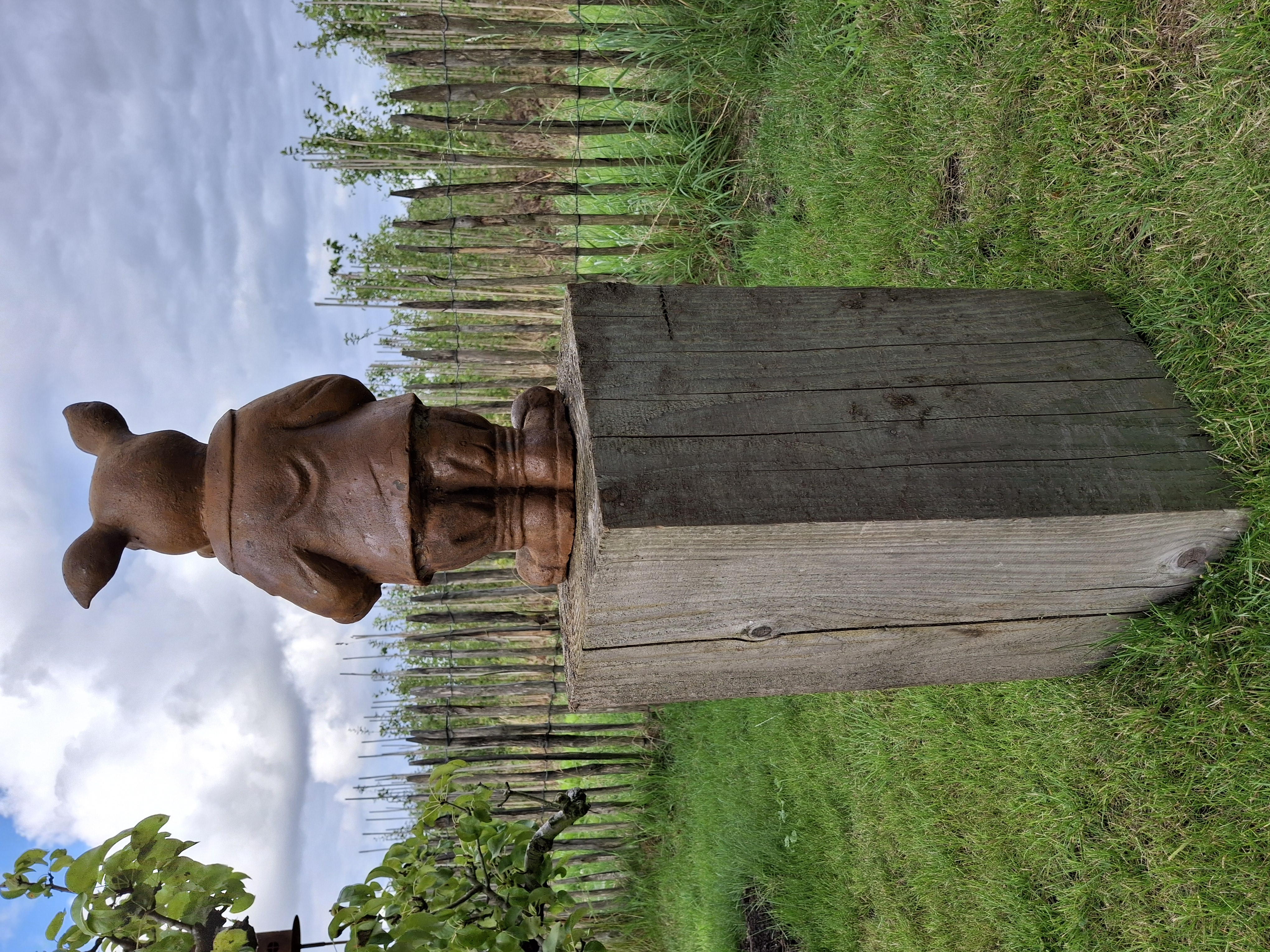 Tuinbeeld  varken  met hoed -L-