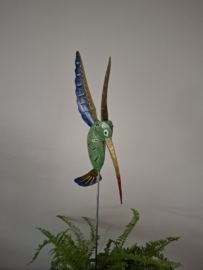 Medusa tuinsteker kolibrie -3-