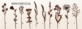 Filigraan bloemstekertje duizendblad -K-