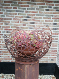 Hortensia schaal -L-
