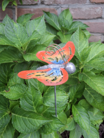 Medusa tuinsteker vlinder S -5-