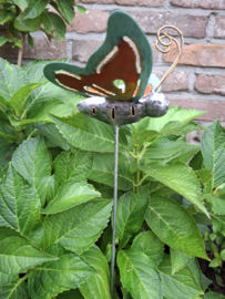 Medusa tuinsteker vlinder S -1-