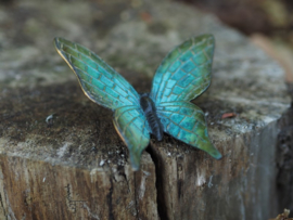 Bronzen groene vlinder