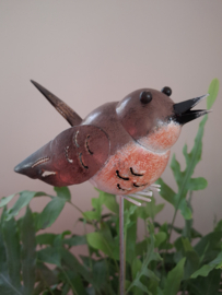 Tuinsteker/plantensteker vogel