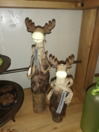 Eland groot