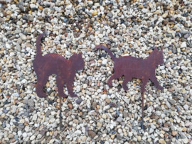 Tuinsteker kitten met staart omhoog