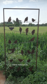 Tuinscherm open met vogels