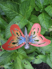 Medusa tuinsteker vlinder S -5-