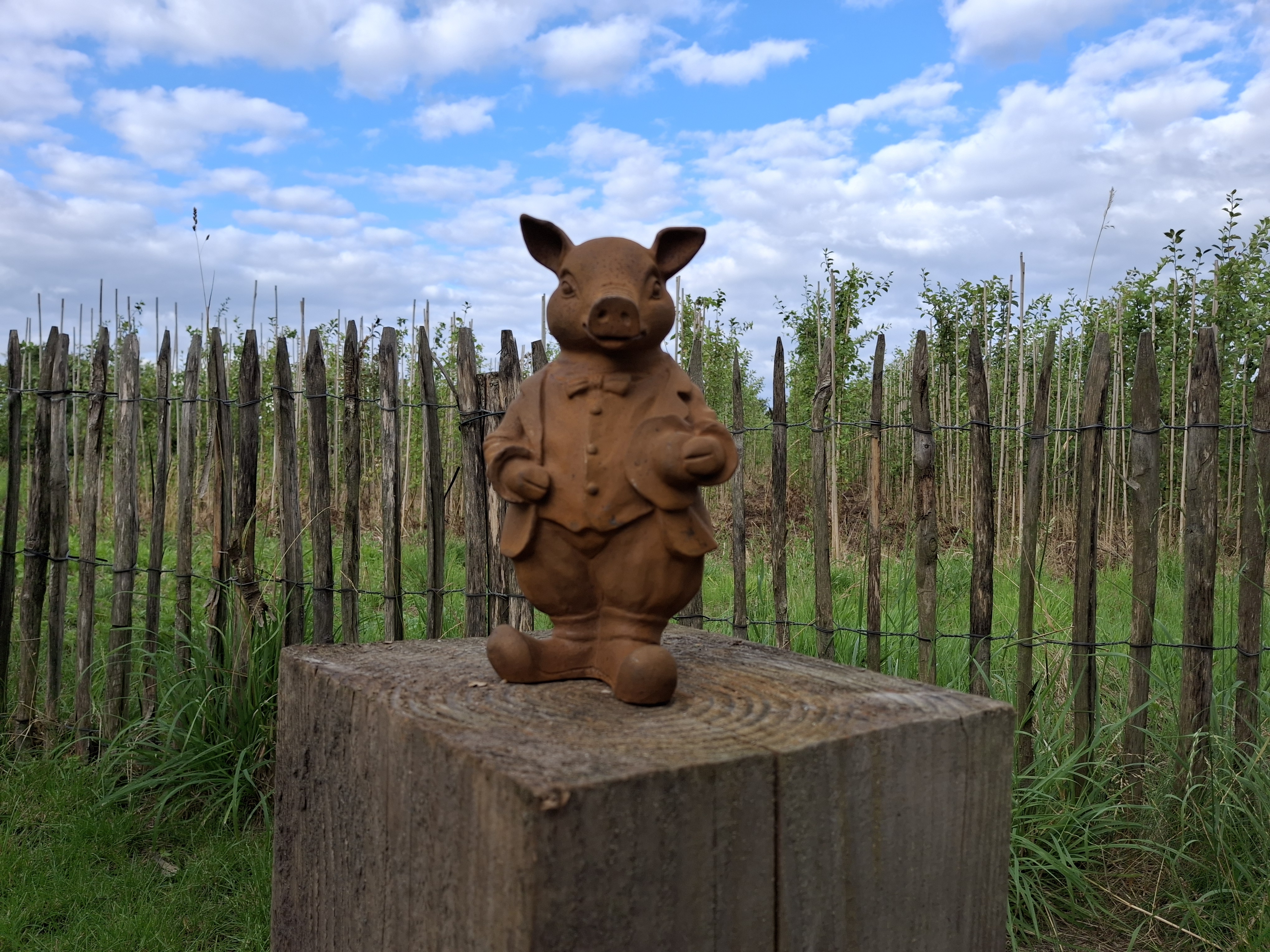 Tuinbeeld  varken  met hoed -M-