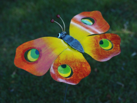 Tuinsterker vlinder rood/geel