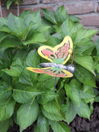 Medusa tuinsteker vlinder S -3-