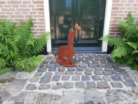 Teckel met vlinder op de neus