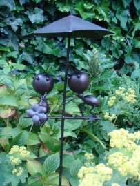 Tuinprikker met mieren
