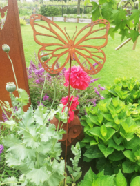 Tuinsteker vlinder witje