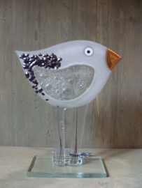 Vogel wit met gouden snavel