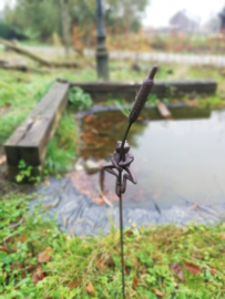Tuinsteker kikker op lampenpoetser