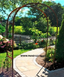 Rozenboog Anna -170-