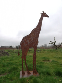 Giraf op voetplaat vierkant 200